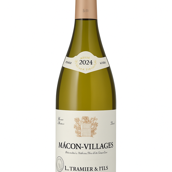 Bourgogne Mâcon-Village 2024 – Eleganter Weißwein